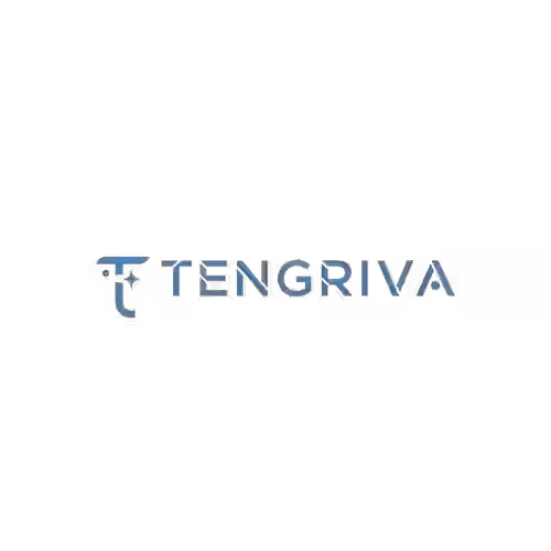 WP Bildirim müşteri referansları logosu: Tengriva Logo